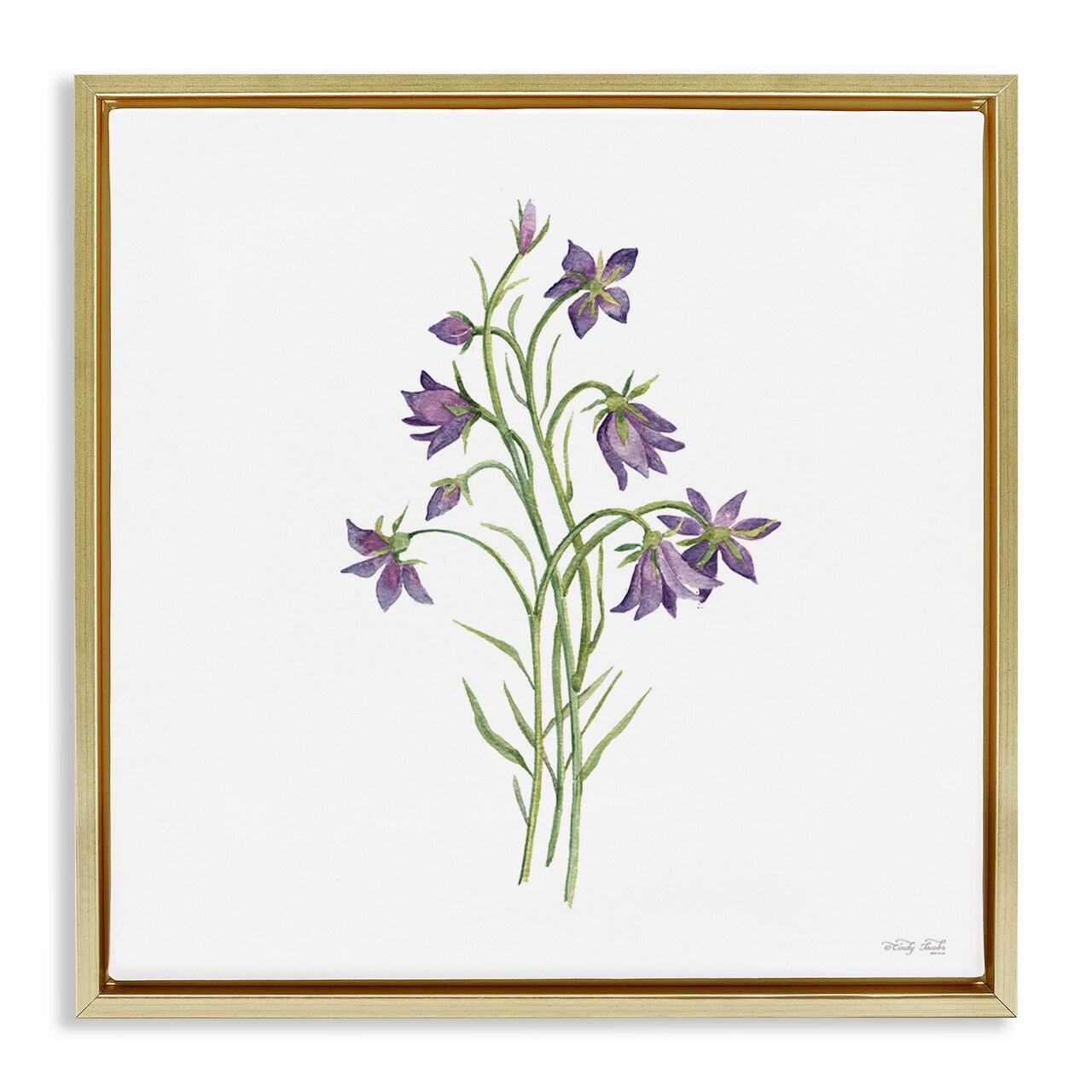 Stupell Industries Soft Bluebells Botanical Floating Frame, design by Cindy Jacobs
